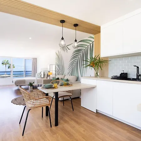 公寓 Vista Martianez 拉克鲁斯