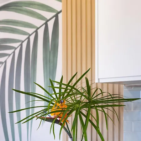 Vista Martianez 公寓 拉克鲁斯